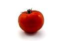 tomato_5696.jpg